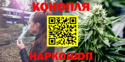 гашик Лесосибирск