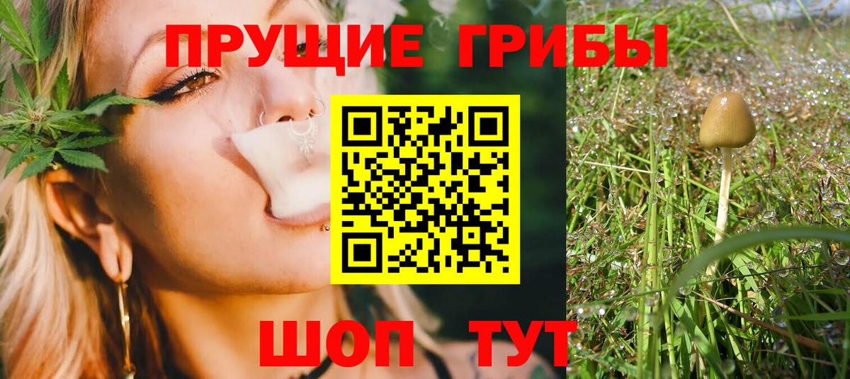 Галлюциногенные грибы MAGIC MUSHROOMS  Вход с VPN  Электросталь 
